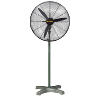 Pedestal Fan