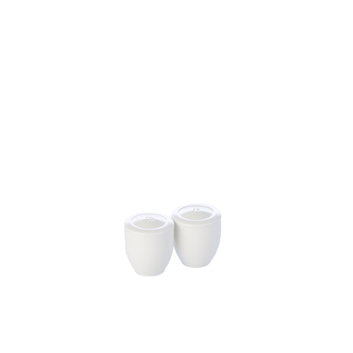 Royal Doulton Salt and Pepper Shakers